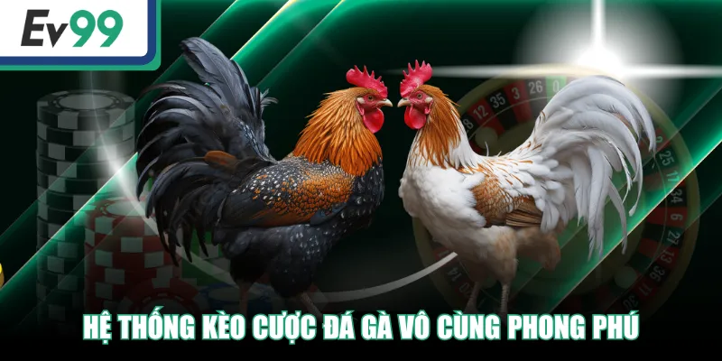 WS168 | Sảnh Đá Gà Đỉnh Cao, Trải Nghiệm Độc Quyền 3 Hệ thống kèo cược đá gà vô cùng phong phú